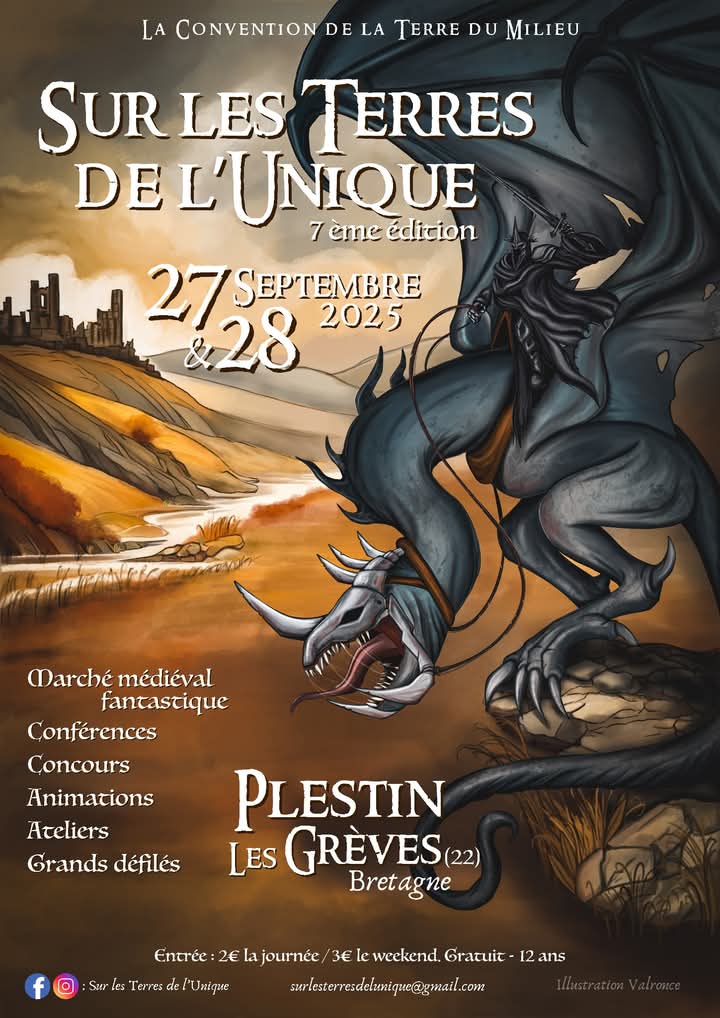 affiche_stlu-27-28-2025